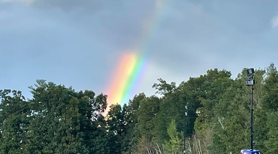 A Dog Treat  Business Journey