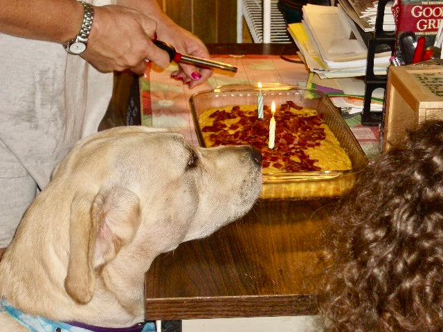 Can We Have Another Party?