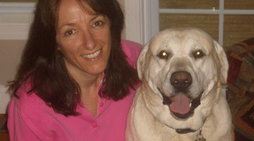 Why are our animals in our lives?